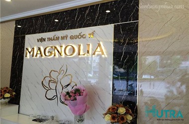 TRANG TRÍ SẢNH LỄ TÂN - THẨM MỸ VIỆN MAGNOLIA